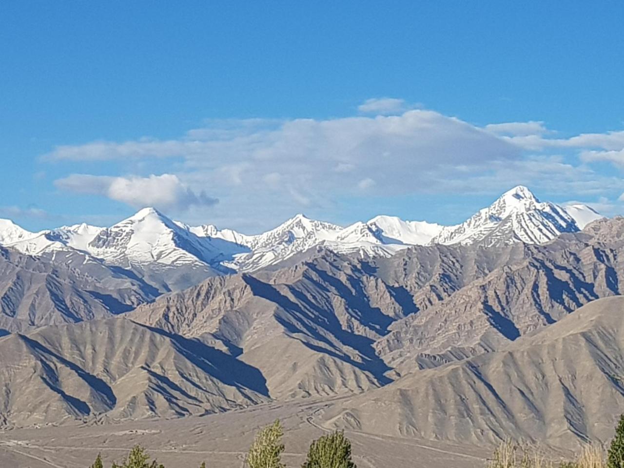 Ladakh Himalayan Retreat Hotel Leh Exterior photo